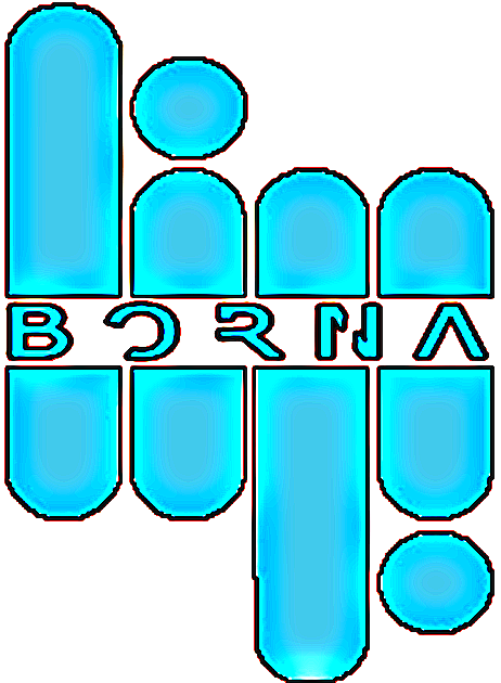 Borna Gostaran Danesh Inc.